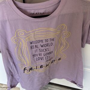 FRIENDS Purple Crop Top T-Shirt
